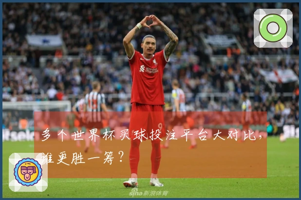 多个世界杯买球投注平台大对比，谁更胜一筹？