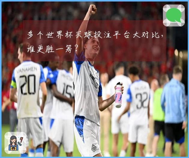 多个世界杯买球投注平台大对比，谁更胜一筹？