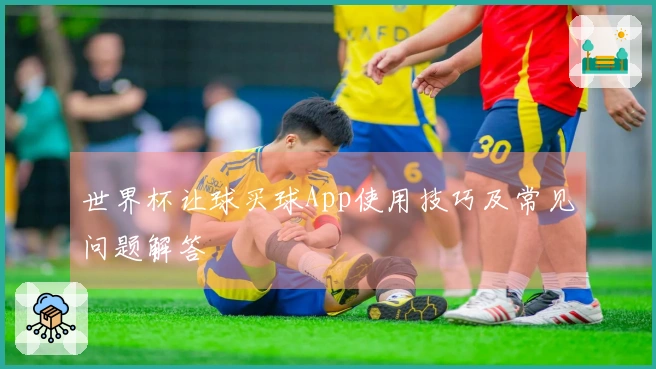 世界杯让球买球App使用技巧及常见问题解答