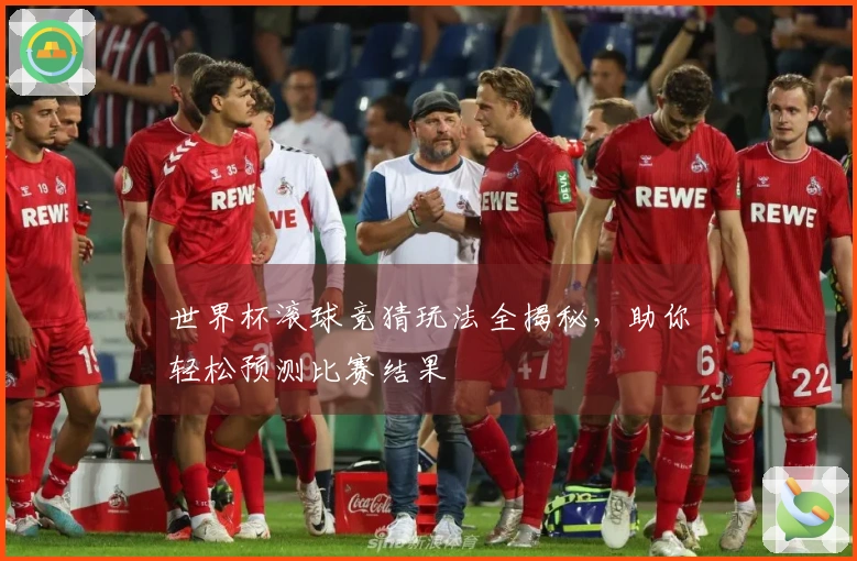 世界杯滚球竞猜玩法全揭秘，助你轻松预测比赛结果
