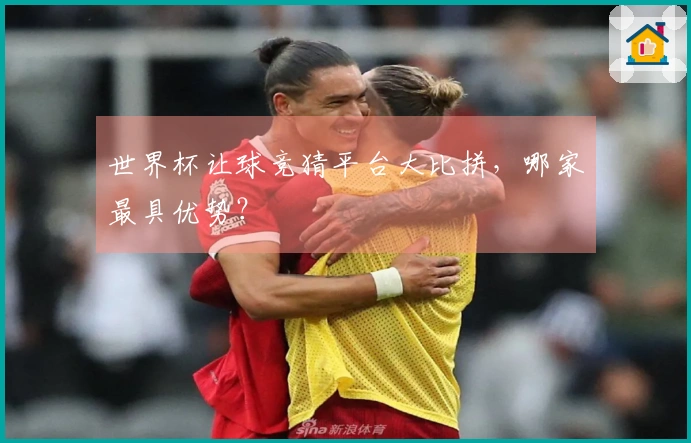 世界杯让球竞猜平台大比拼，哪家最具优势？