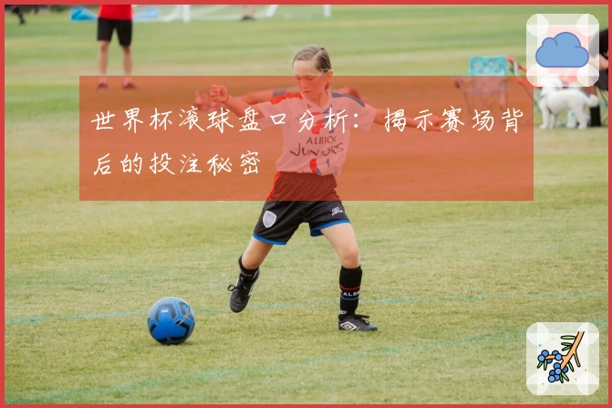 世界杯滚球盘口分析：揭示赛场背后的投注秘密